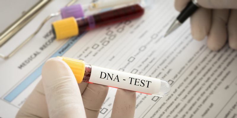 DNA Paternity Tests: What to Expect